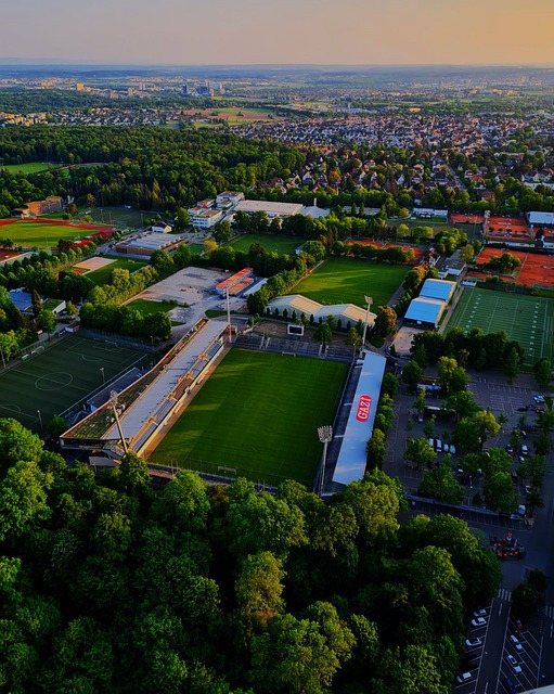 他的全明星 他的全明星