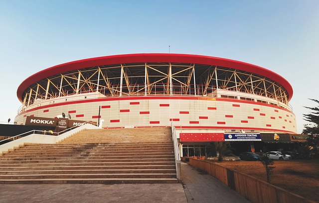 的不懈追求 的不懈追求