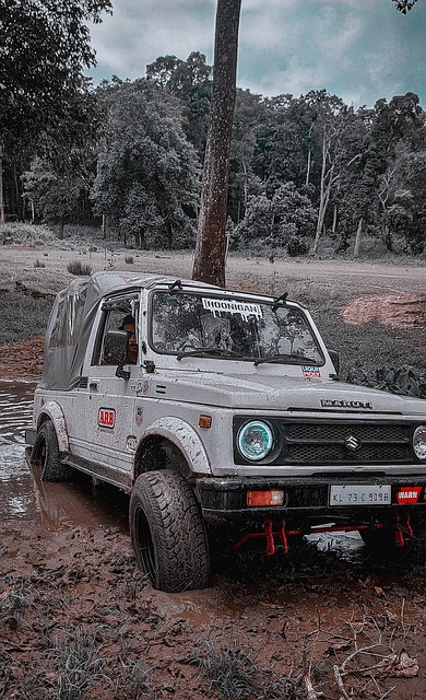 当地学校不 当地学校不