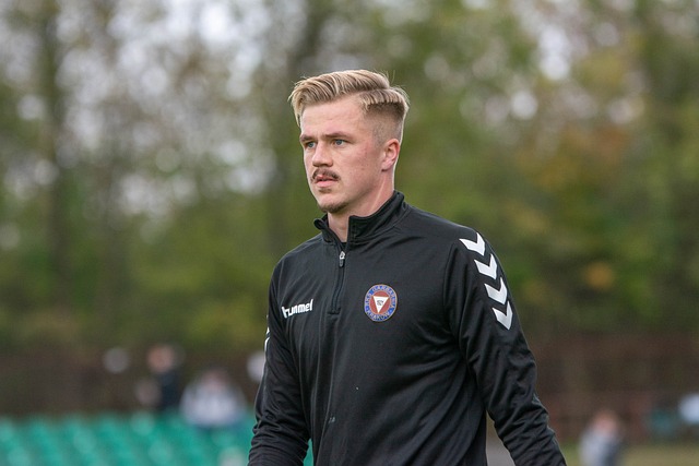 如画的地方 如画的地方