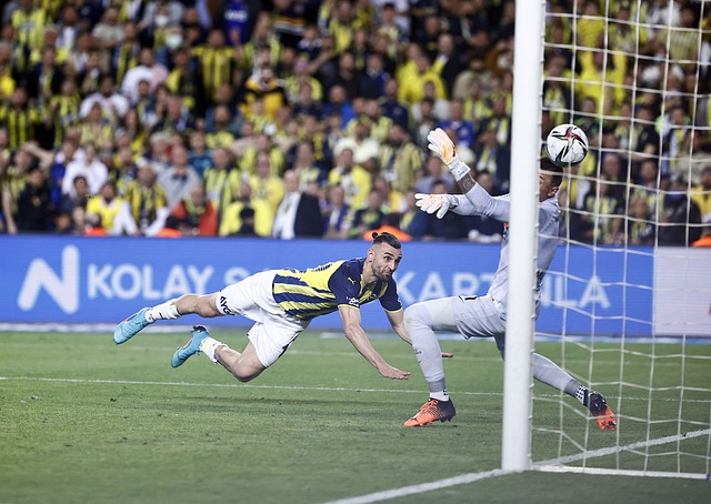 特别是在挑 特别是在挑