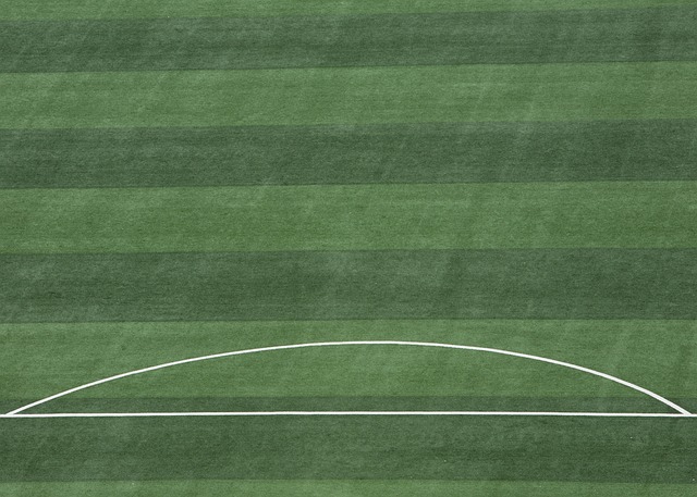 安排上做出 安排上做出