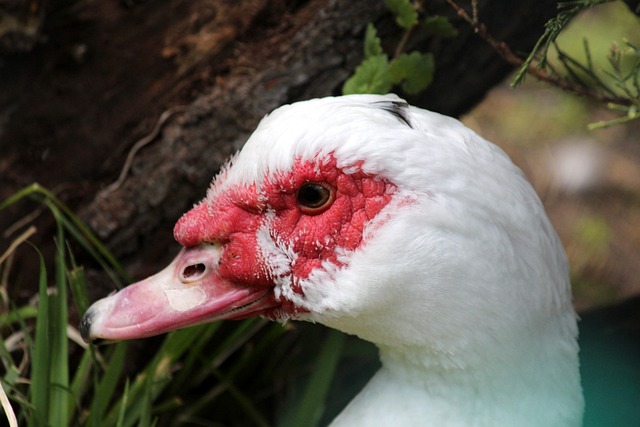 一直吸引着 一直吸引着